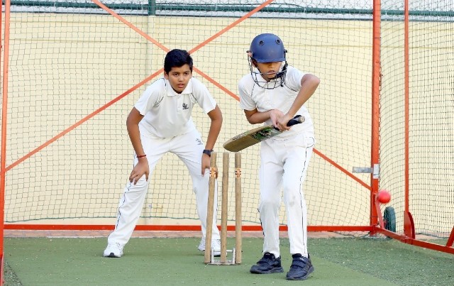 Cricket-net