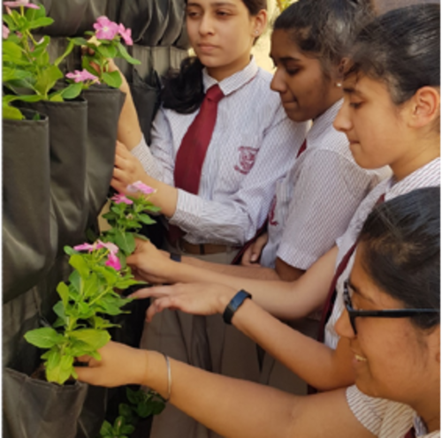 vertical-garden