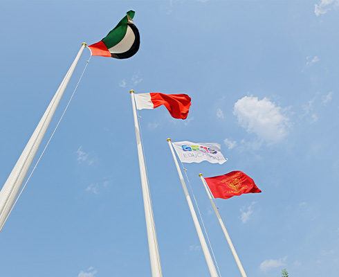 tms-and-uae